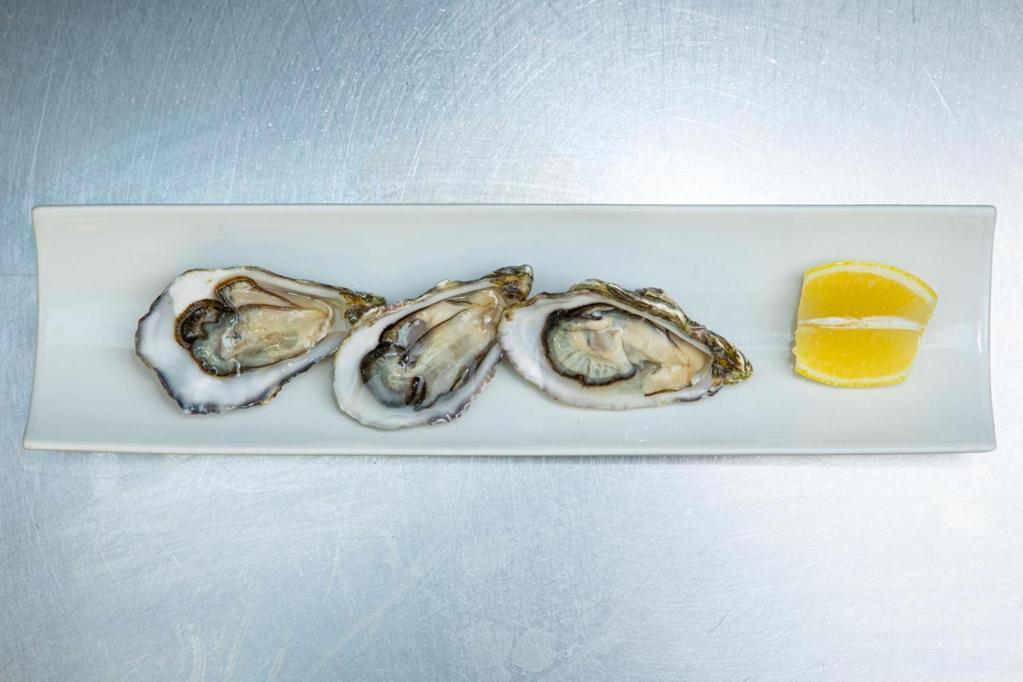 Ashes Seafood Restaurant Accommodation Dingle Exterior foto