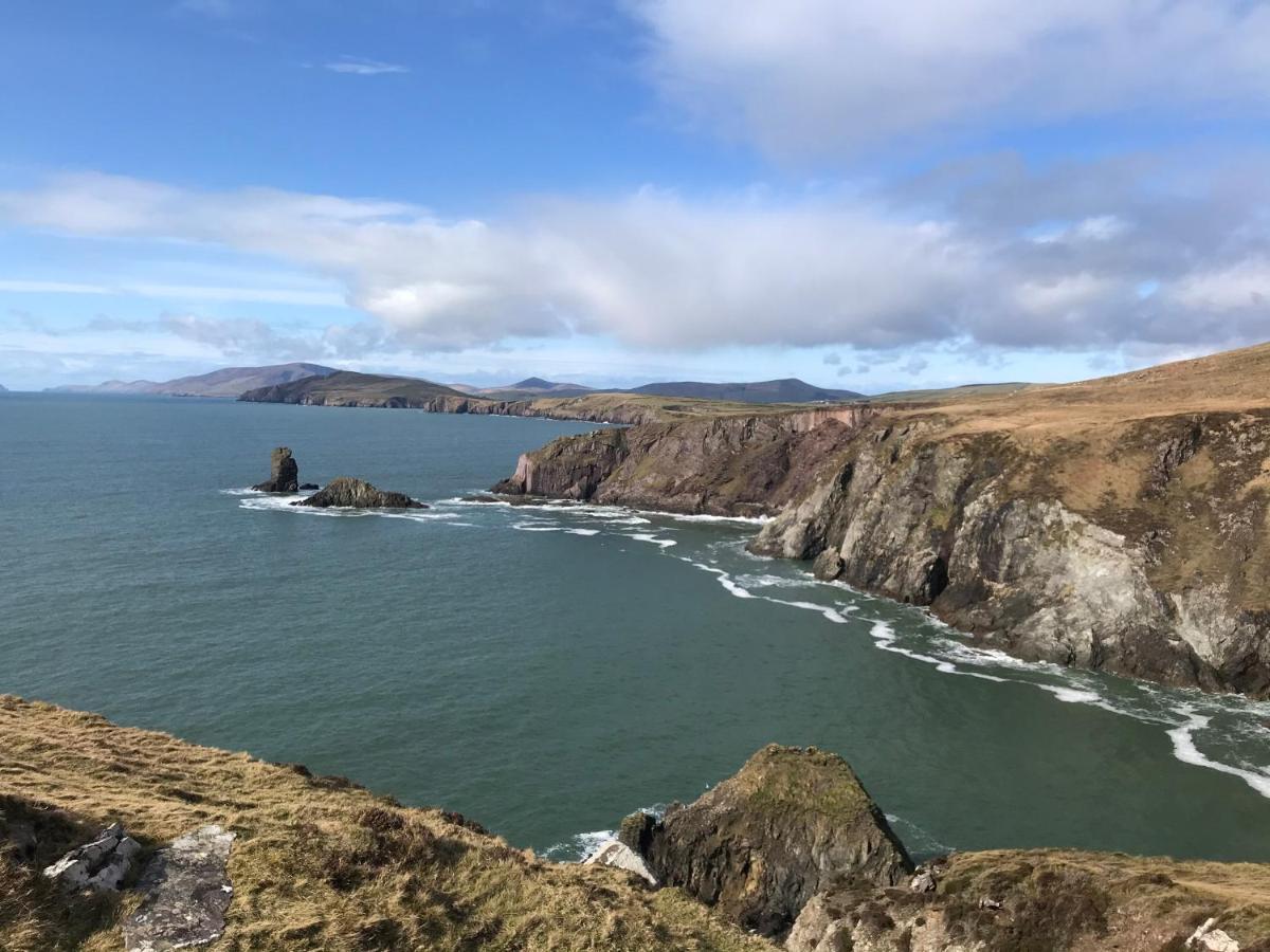 Ashes Seafood Restaurant Accommodation Dingle Exterior foto